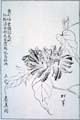 naniwak39-12