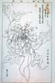 tokyo-t11-36