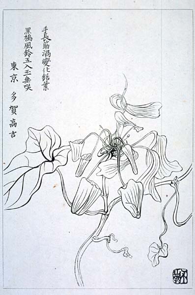 jokyu05-03