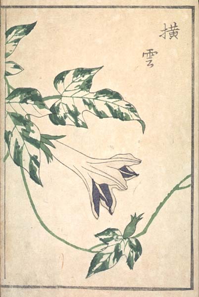 asagaotsu_2-12