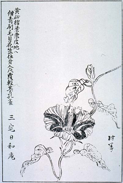 naniwak39-07