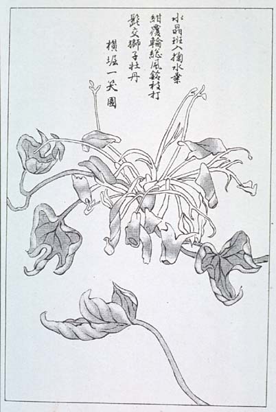 niigata12-23