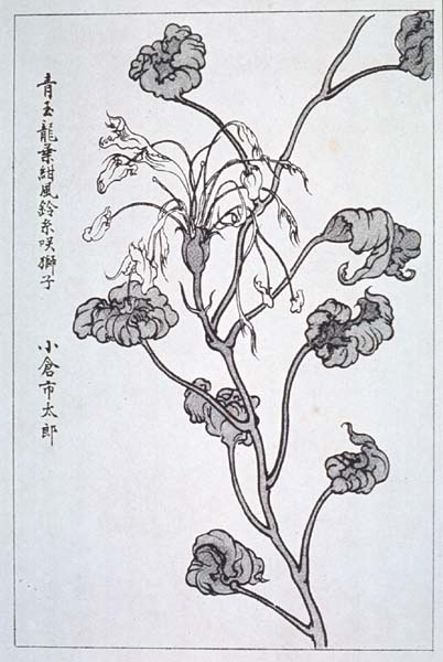 niigata14-31