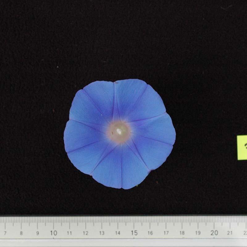 030