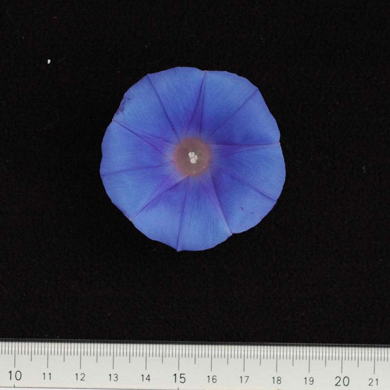 047